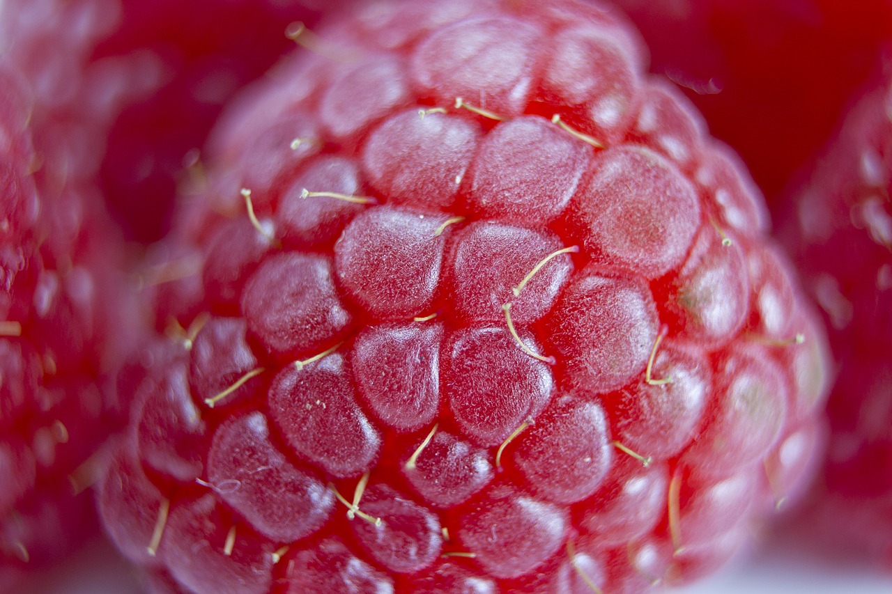 Image - raspberry closeup red berry fresh