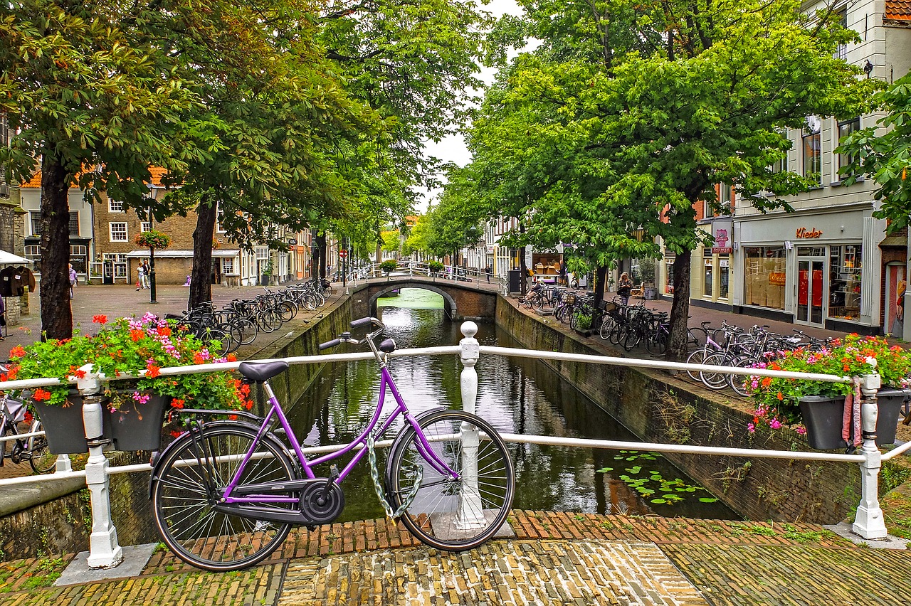 Image - canal river bridge bike tree