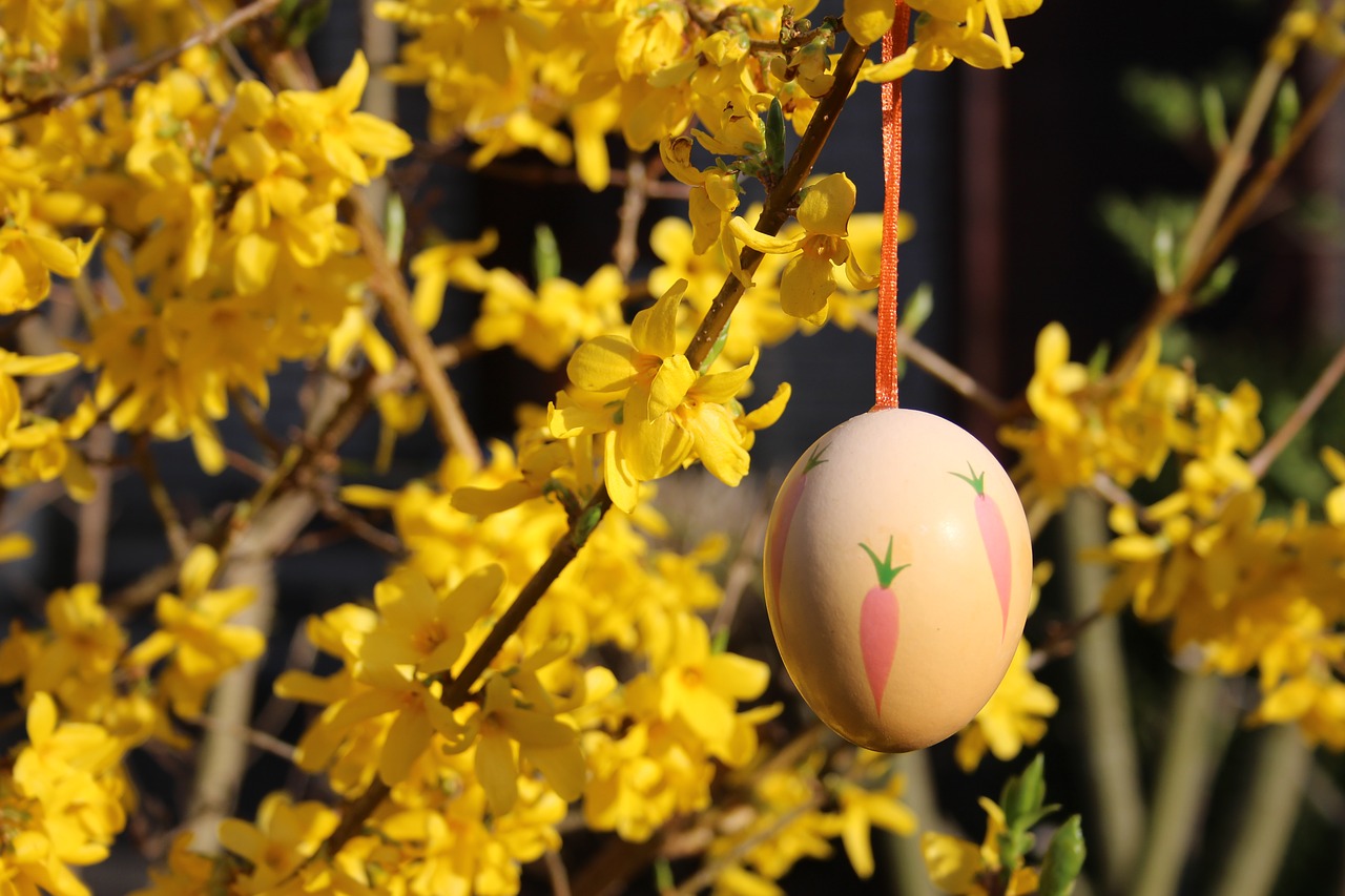 Image - yellow blossom bloom easter