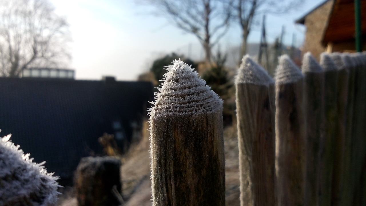 Image - frost garden fence morning winter