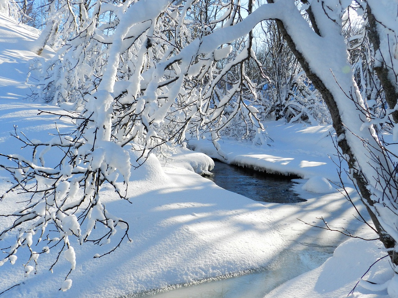 Image - winter frost snow snowdrifts trees