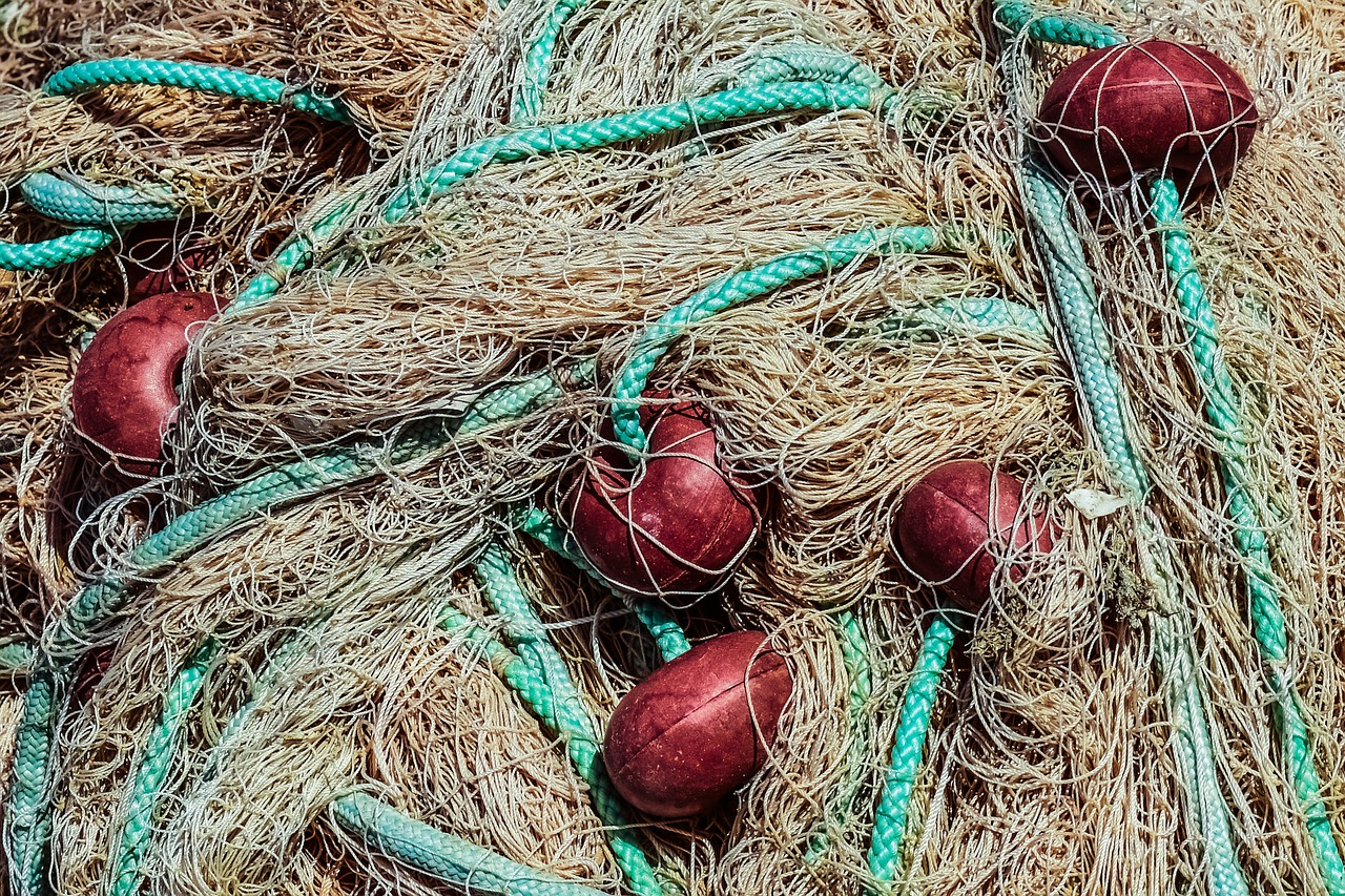 Image - net fishing fishing net floaters