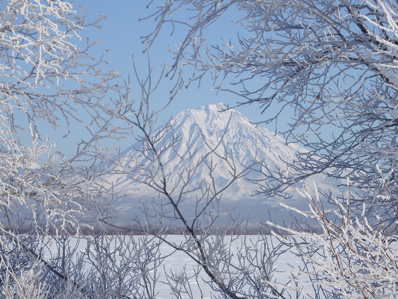 Image - winter frost snow snowdrifts trees