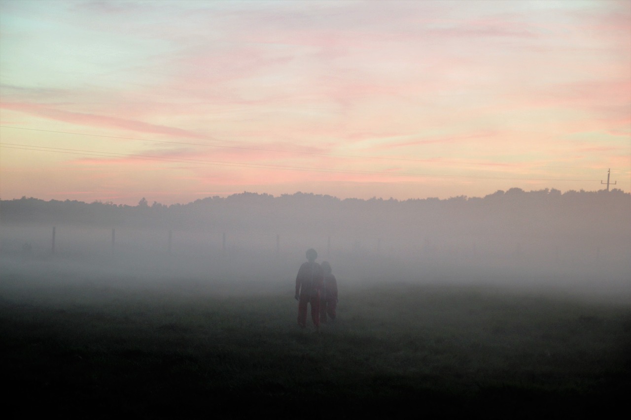 Image - the fog meadow evening nature