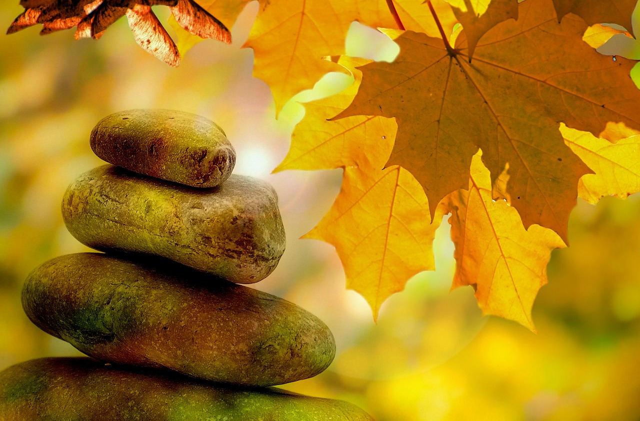 Image - meditation balance rest autumn