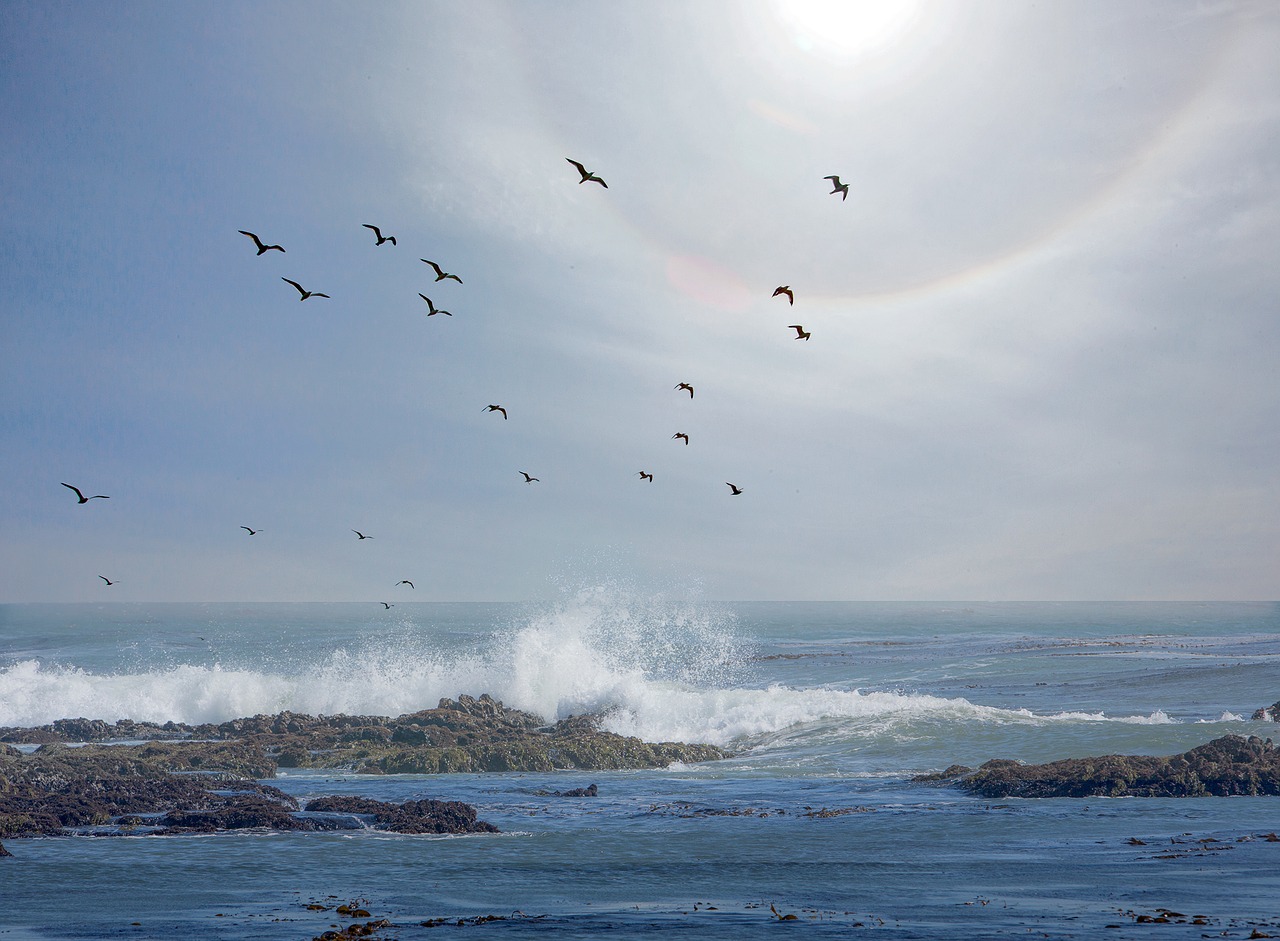 Image - sun ring pacific ocean sea ocean