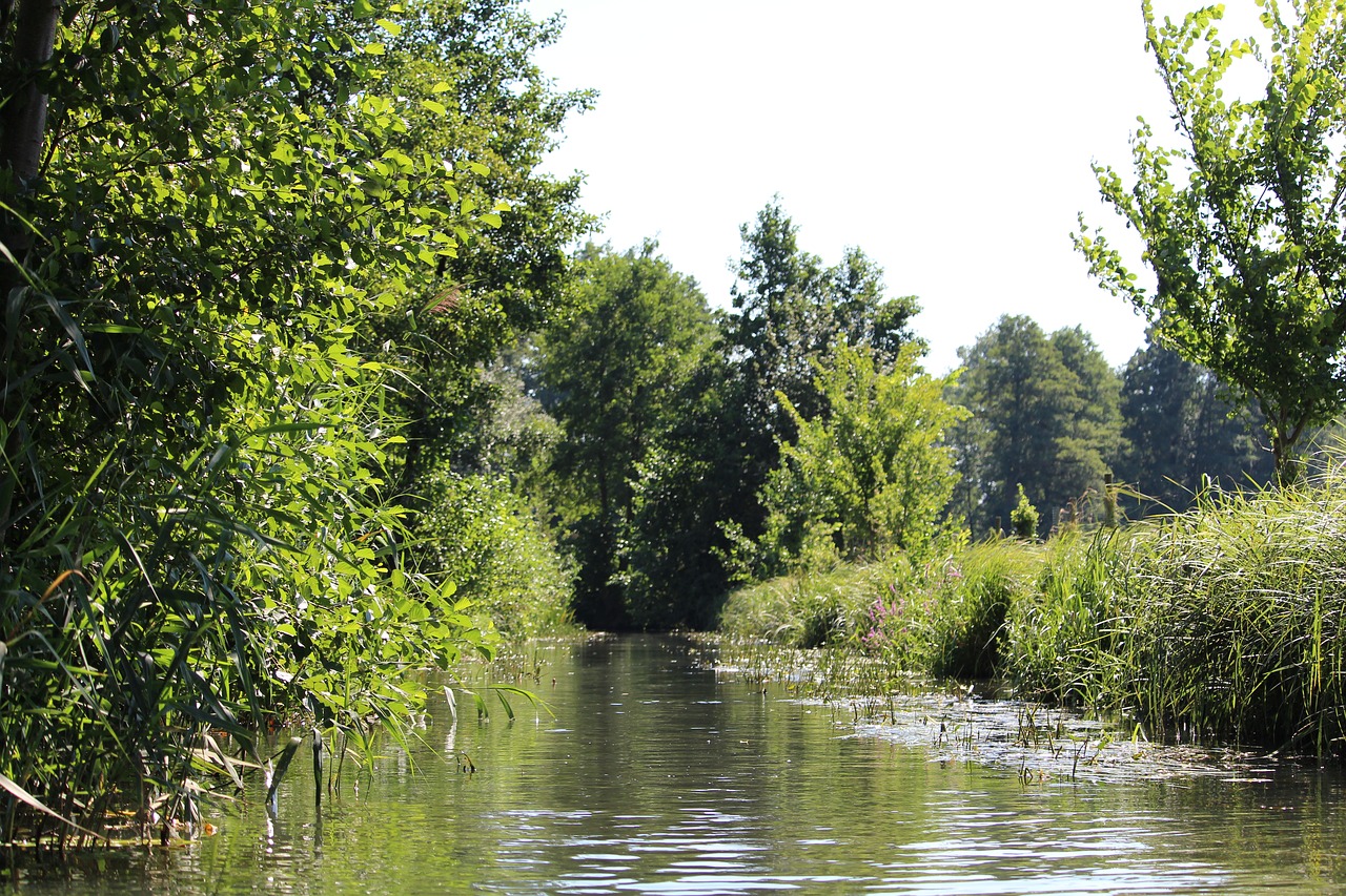 Image - water spreewald landscape