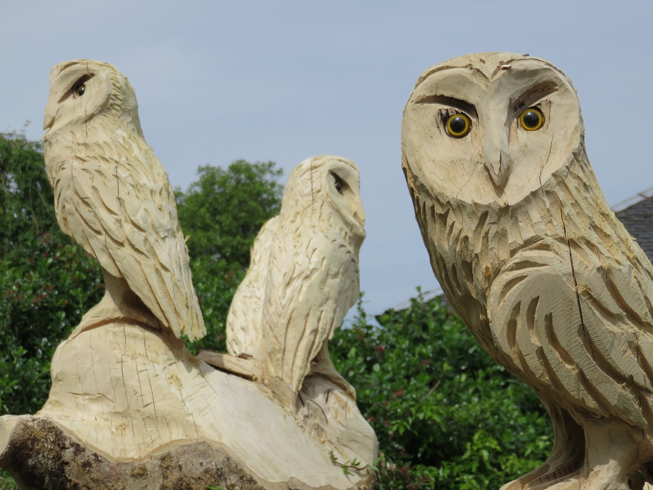 Image - carved owls wise wood owl carving