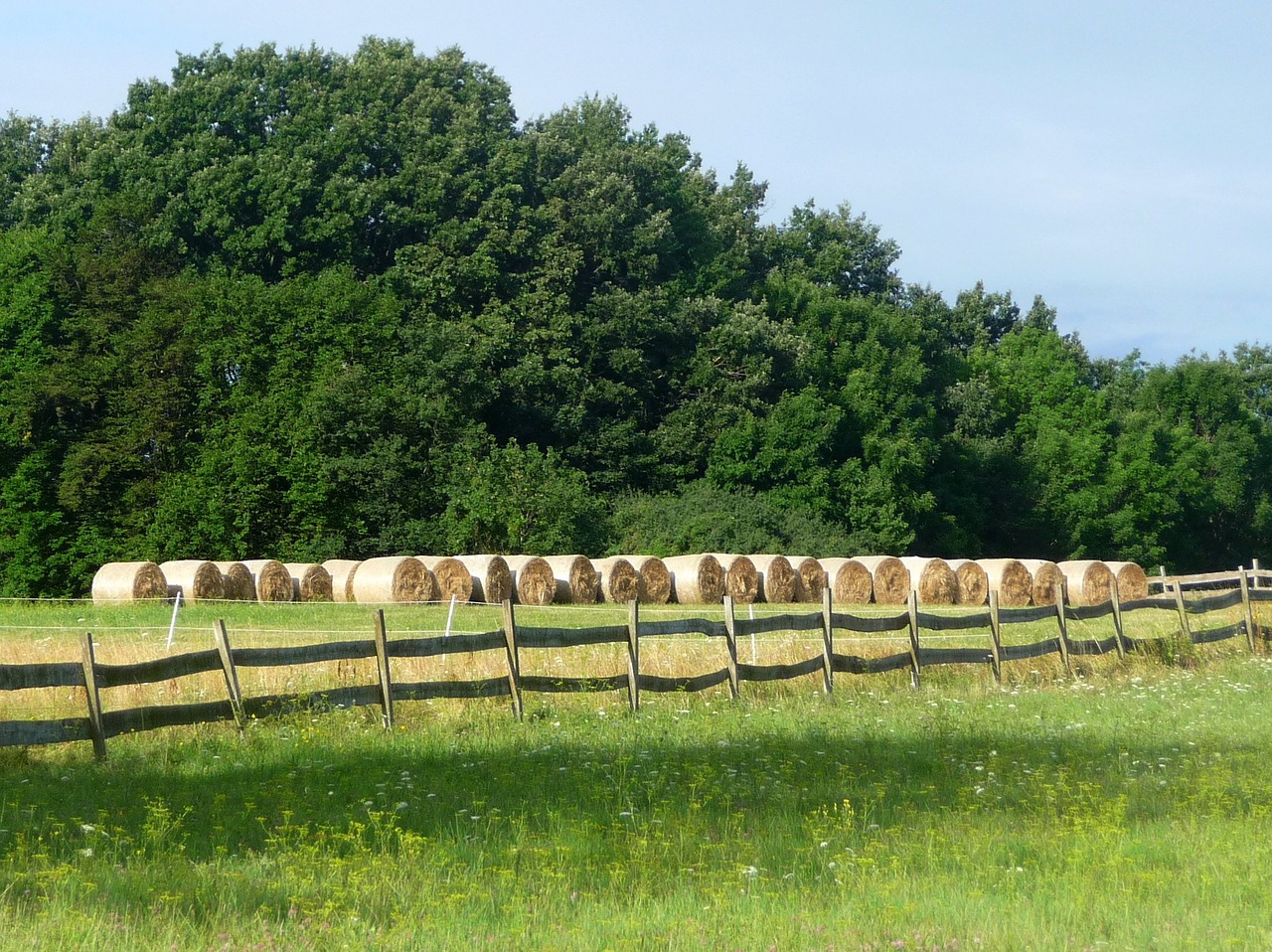 Image - forest arable land hay nature