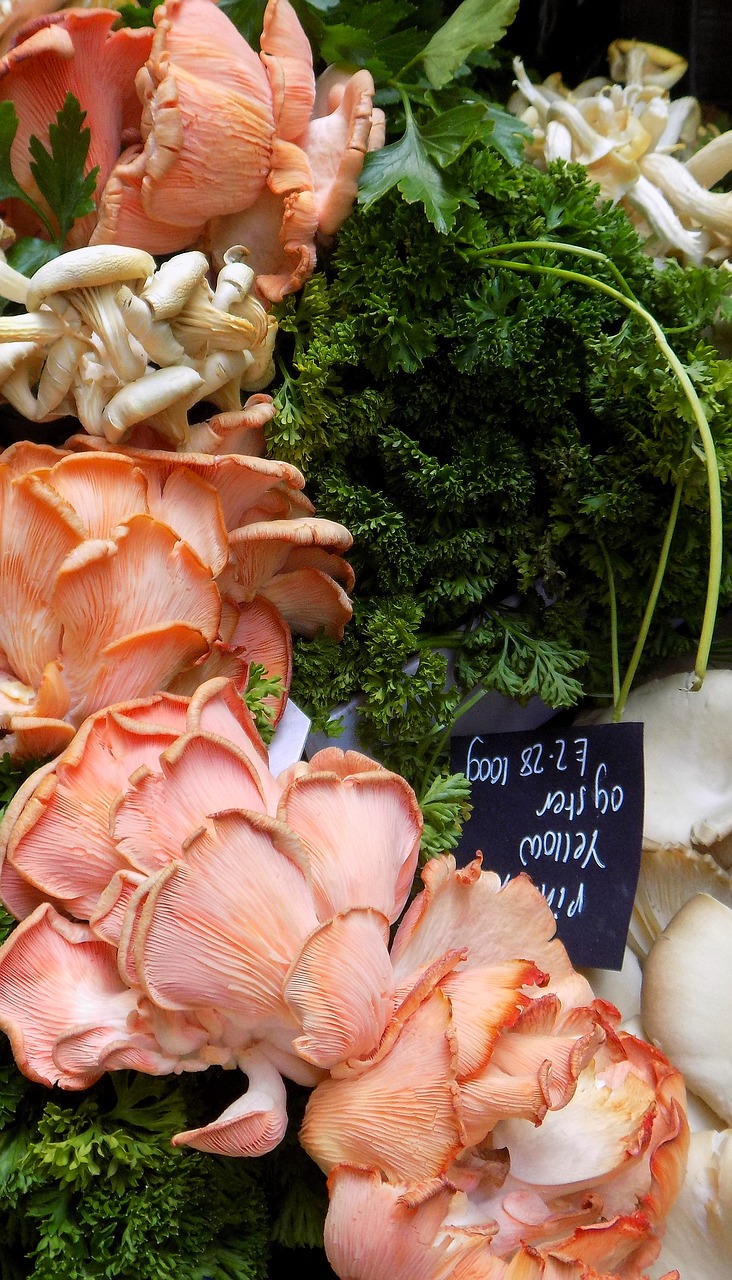 Image - mushrooms oyster mushrooms market