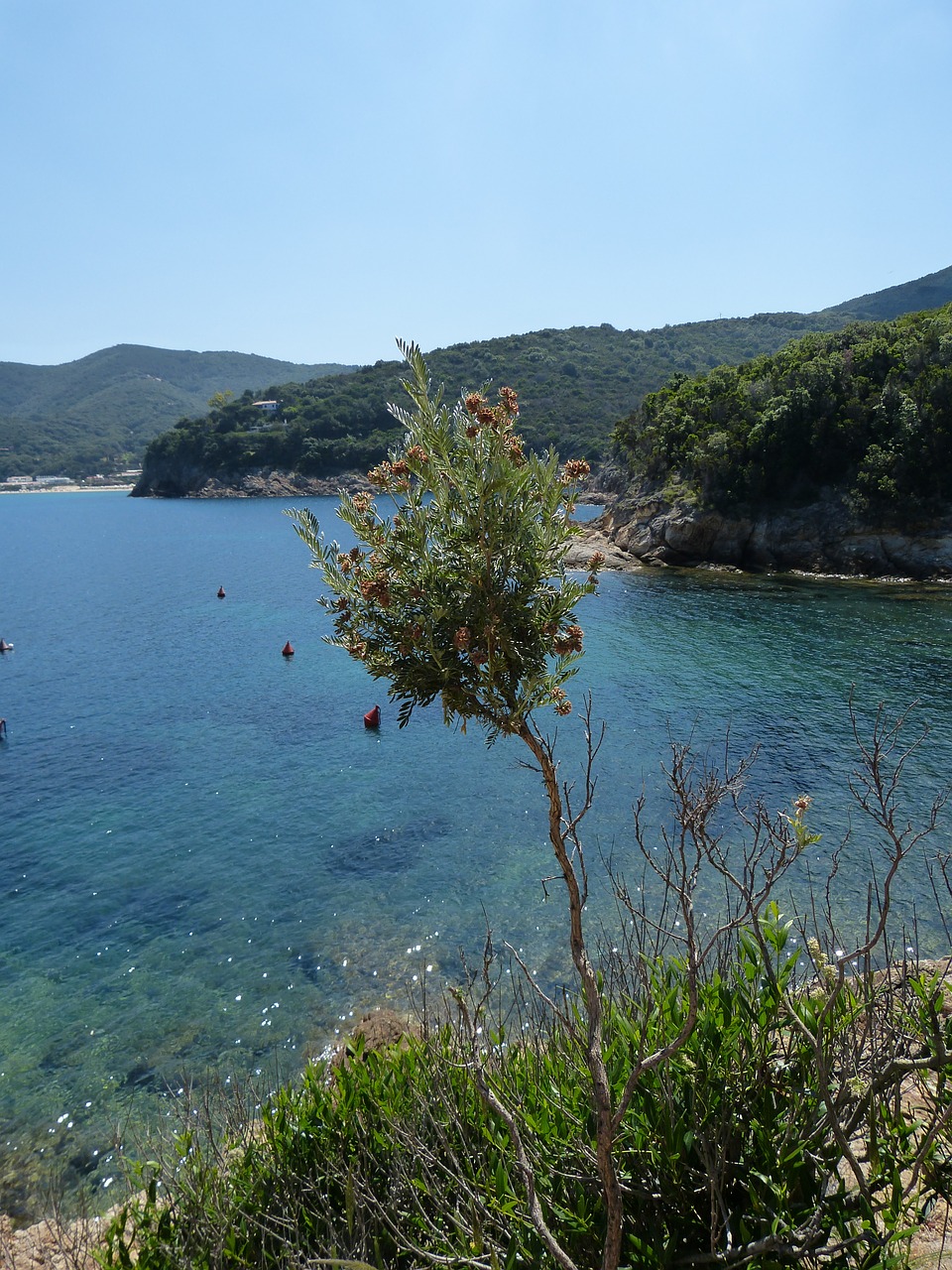 Image - elba hiking landscape