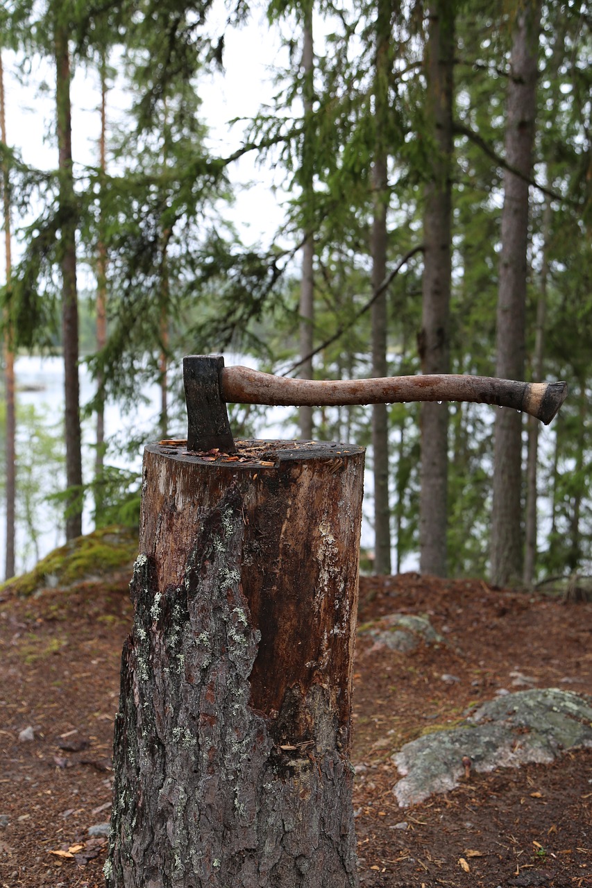 Image - axe forest nature huggkubbe wood