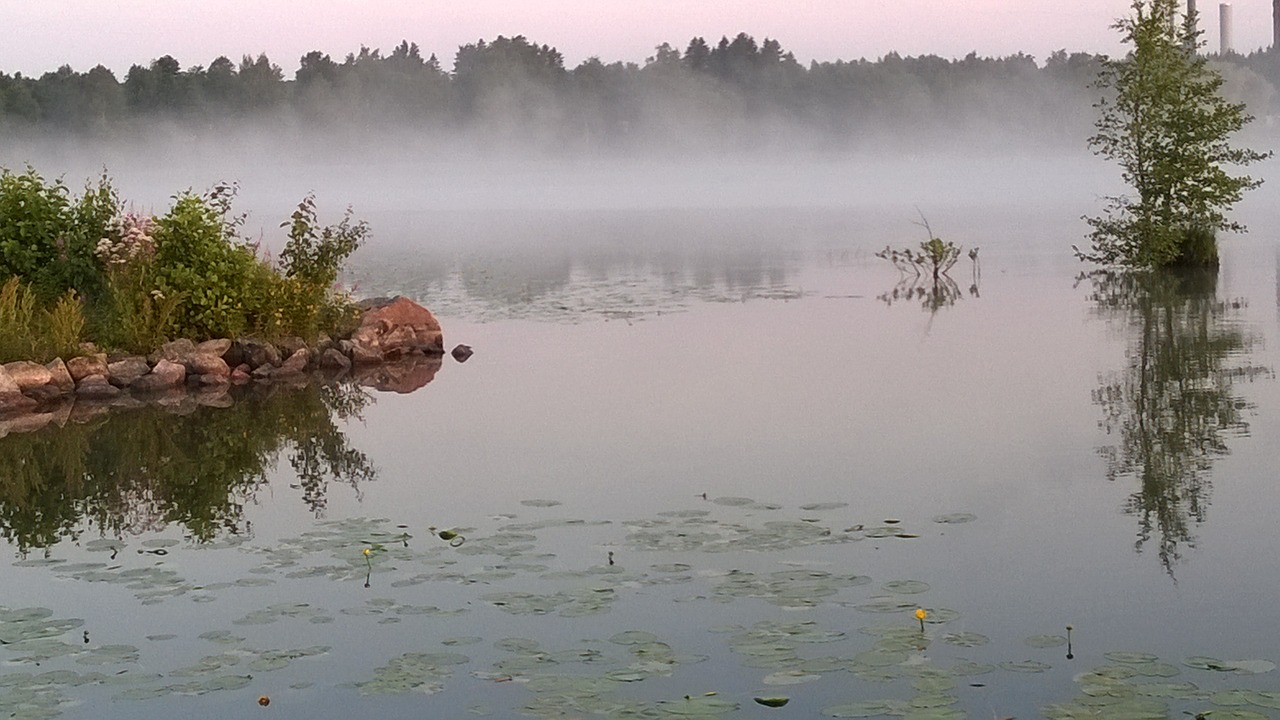 Image - beach fog lake water landscape