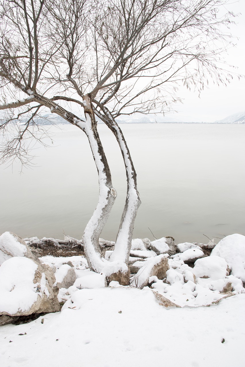 Image - snow landscape nature lake