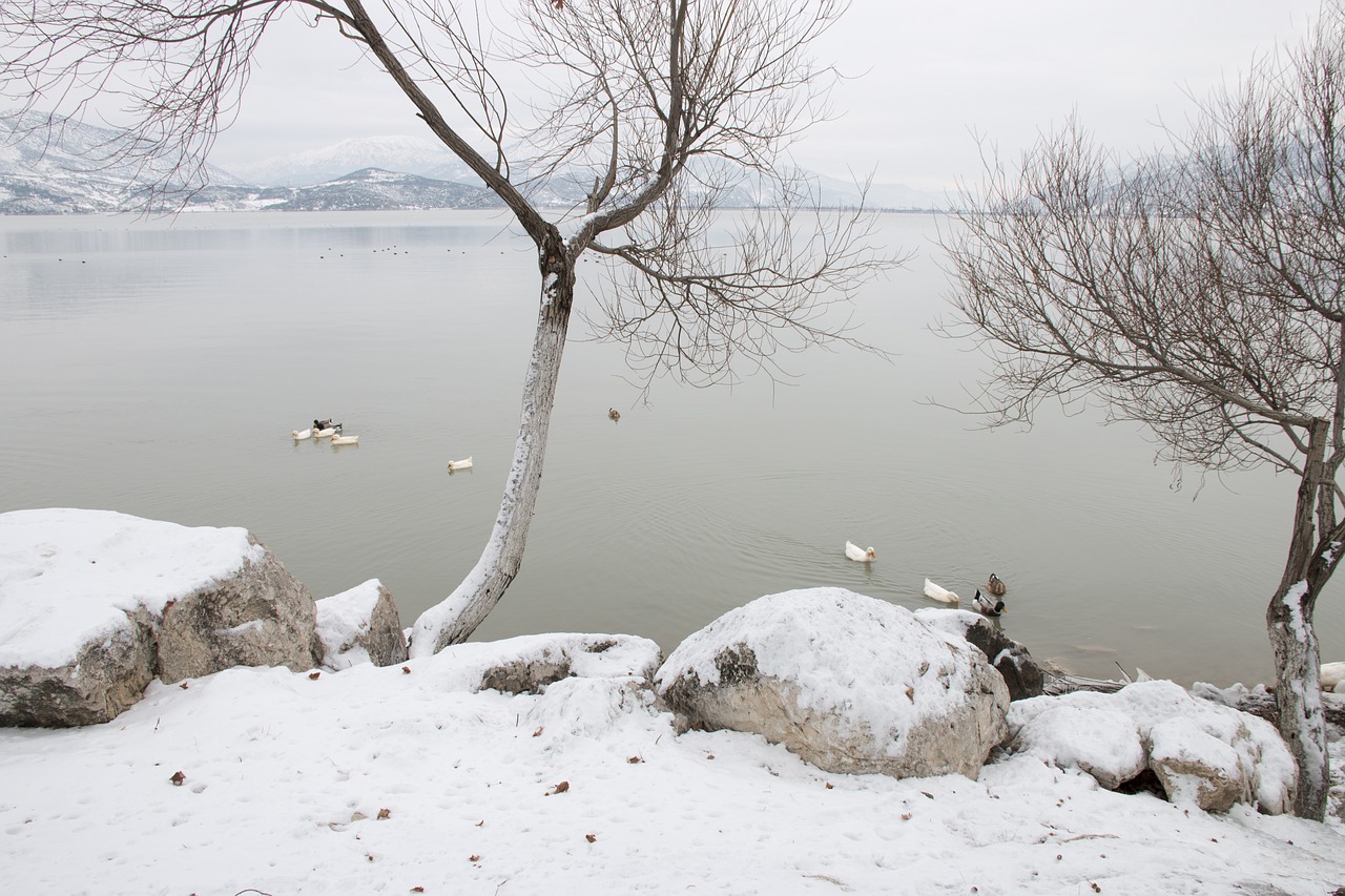 Image - snow landscape nature lake