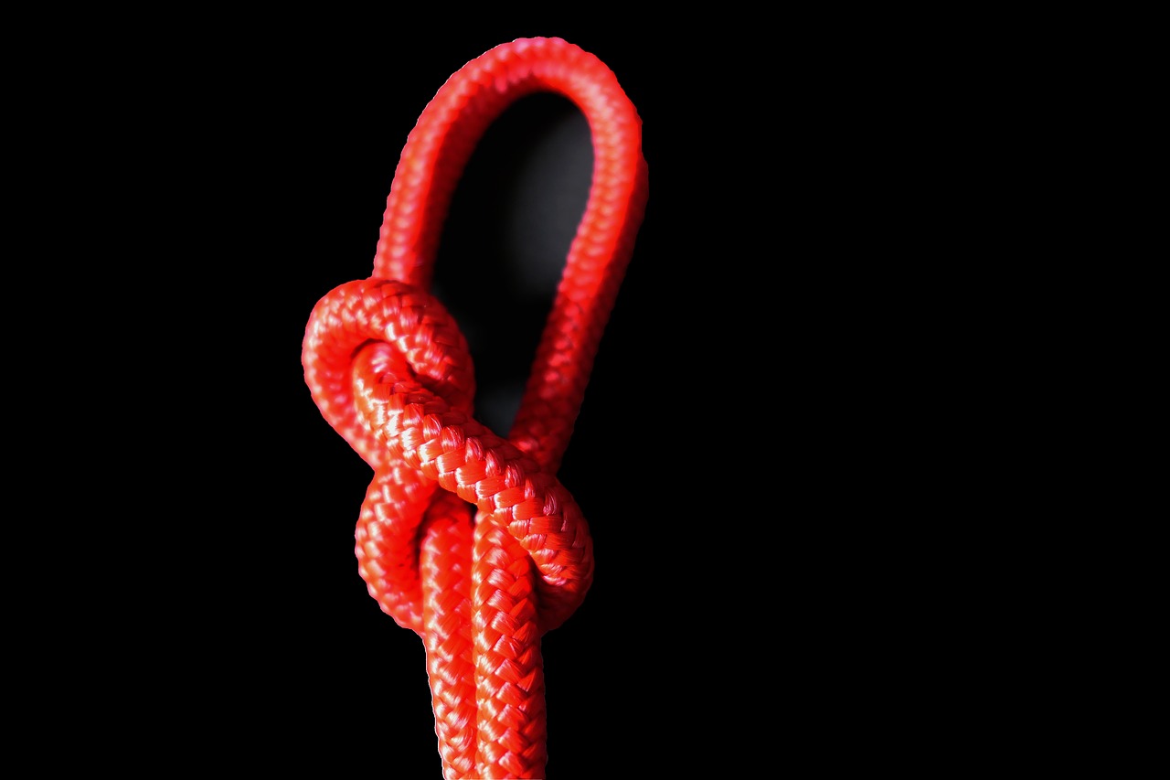 Image - knot rope dew red twisted ropes