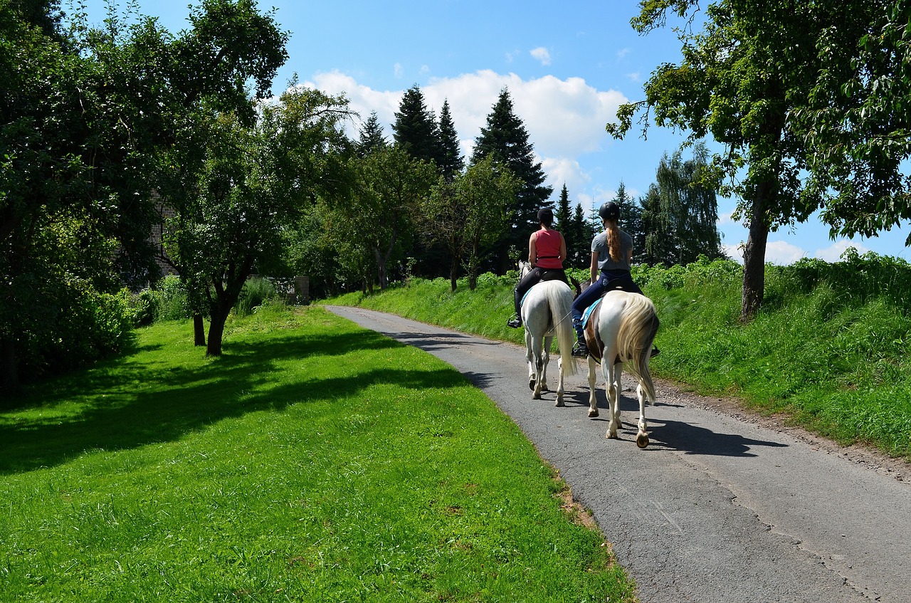 Image - ride equestrian riding horses horse