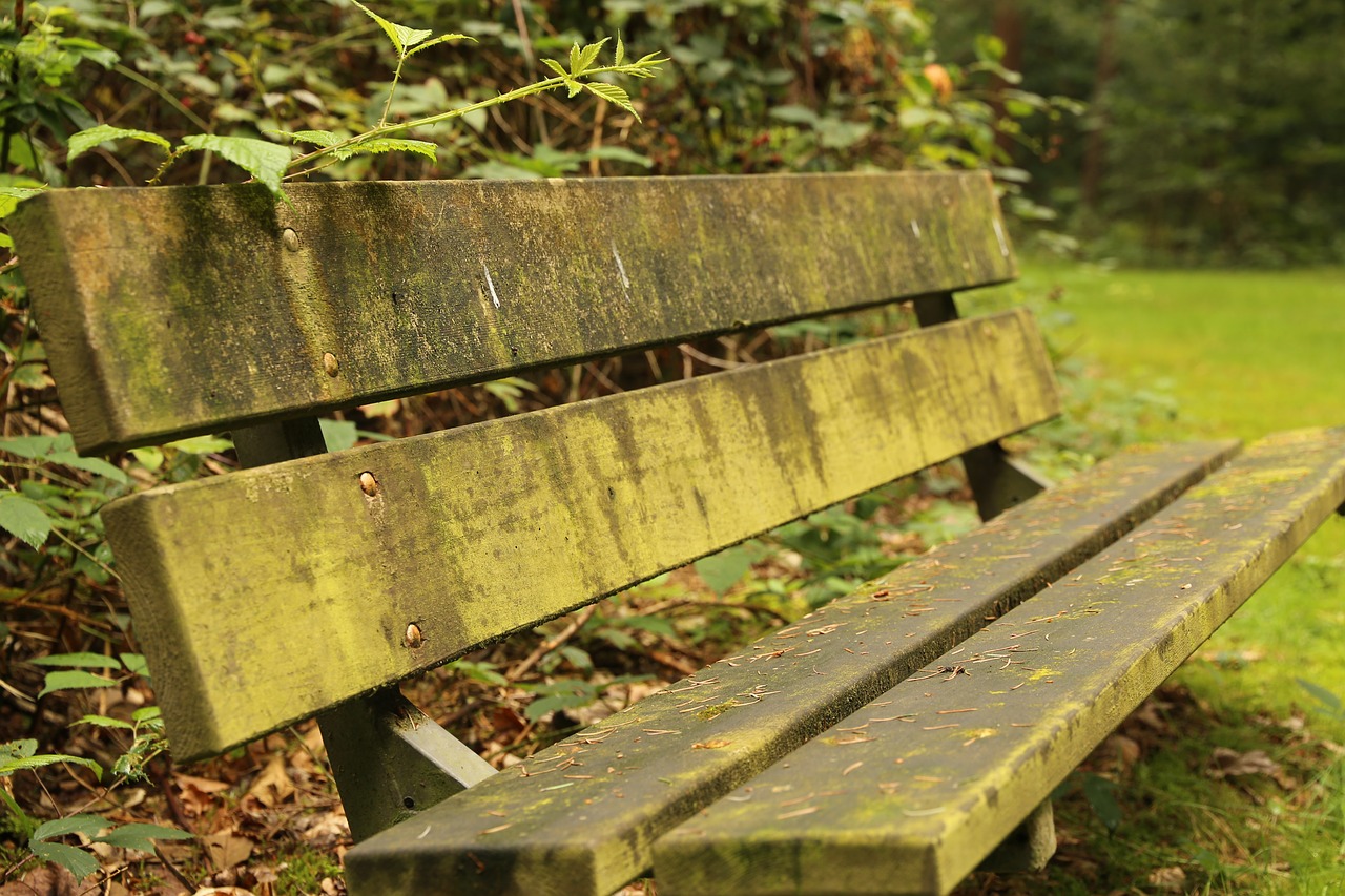 Image - sitting sit nature bank green