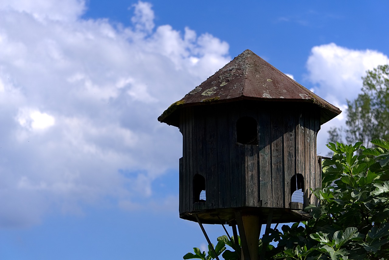 Image - aviary pigeon house sky blue