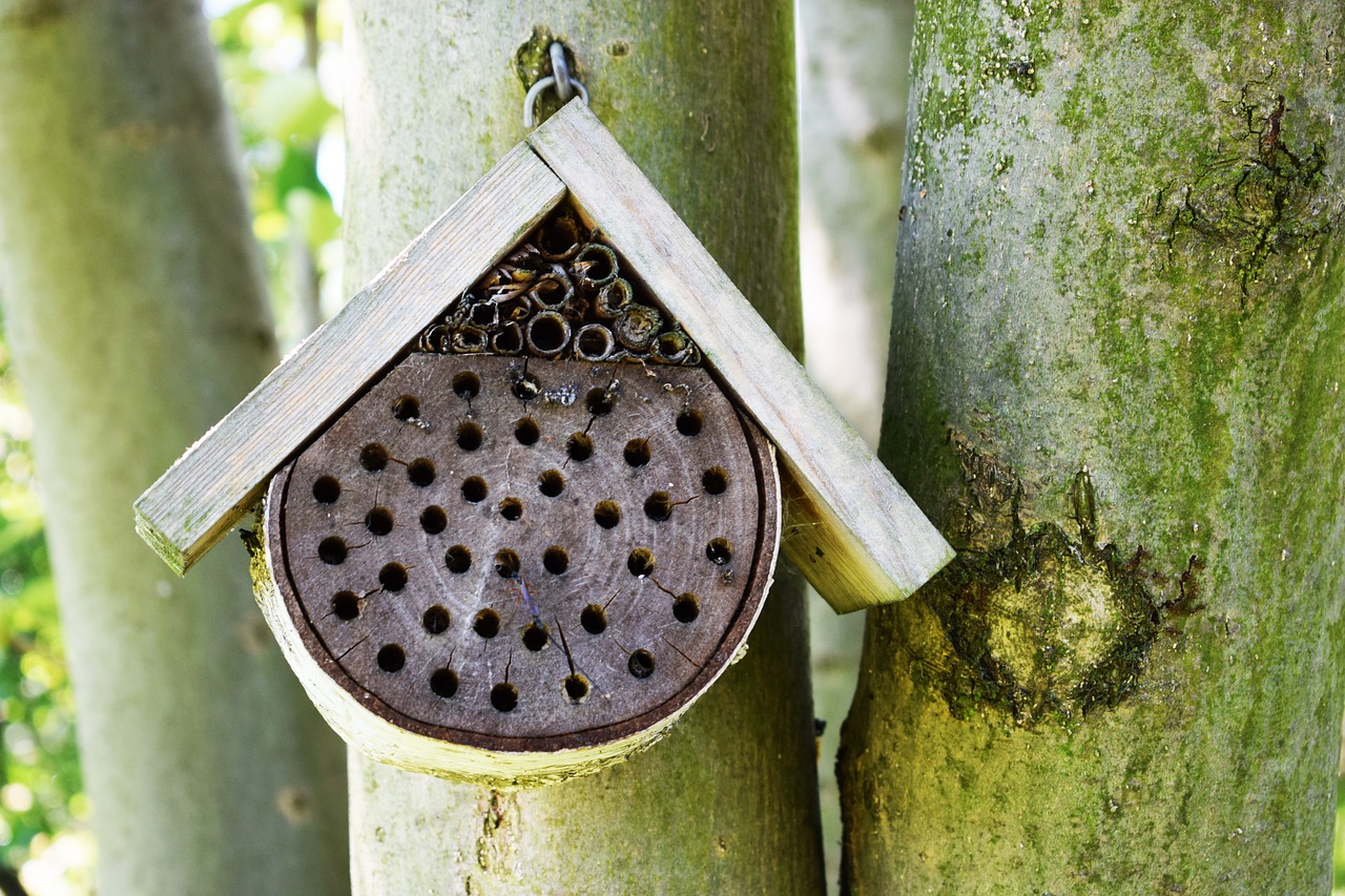 Image - ul bee honey bees summer pasieka