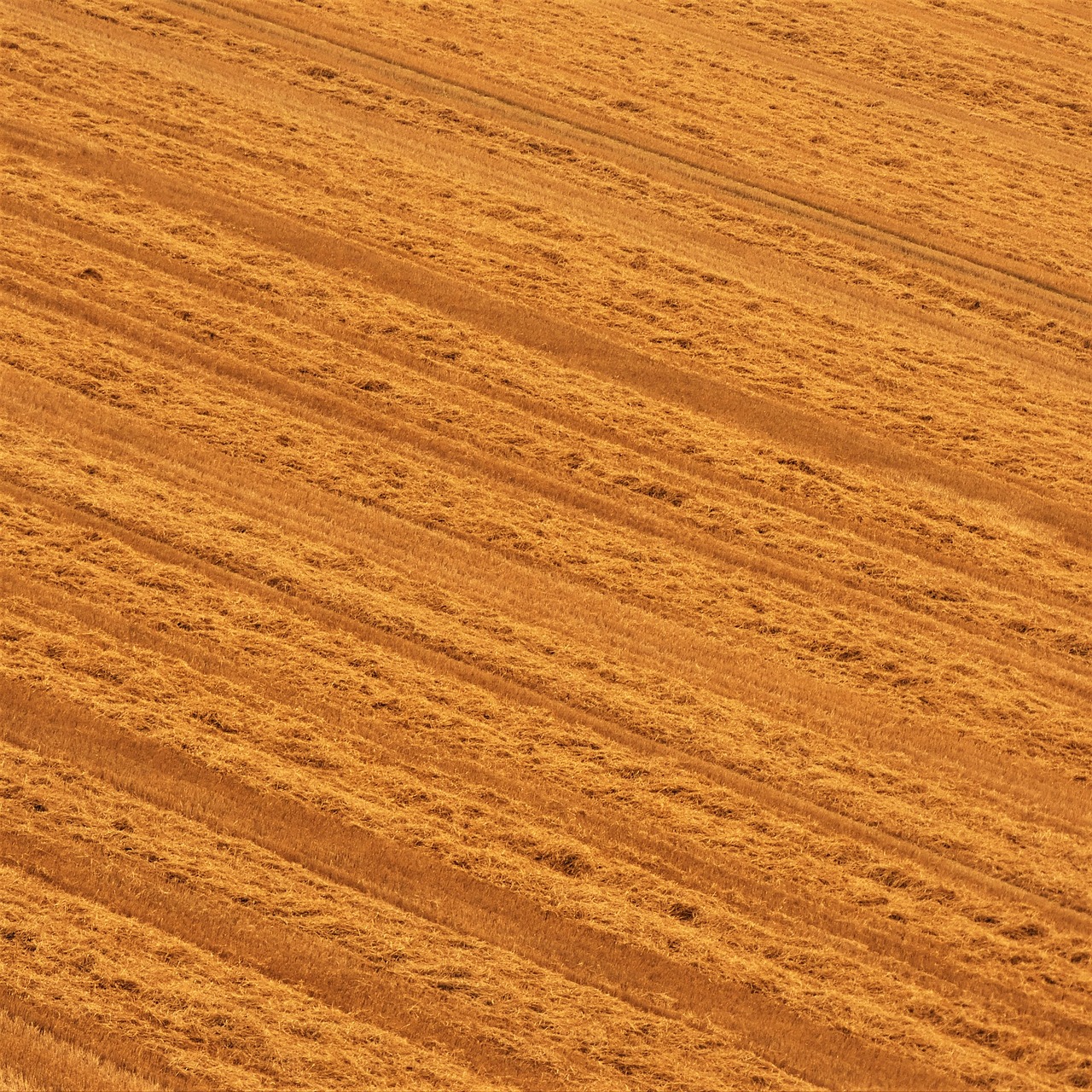 Image - arable field stubble field harvest