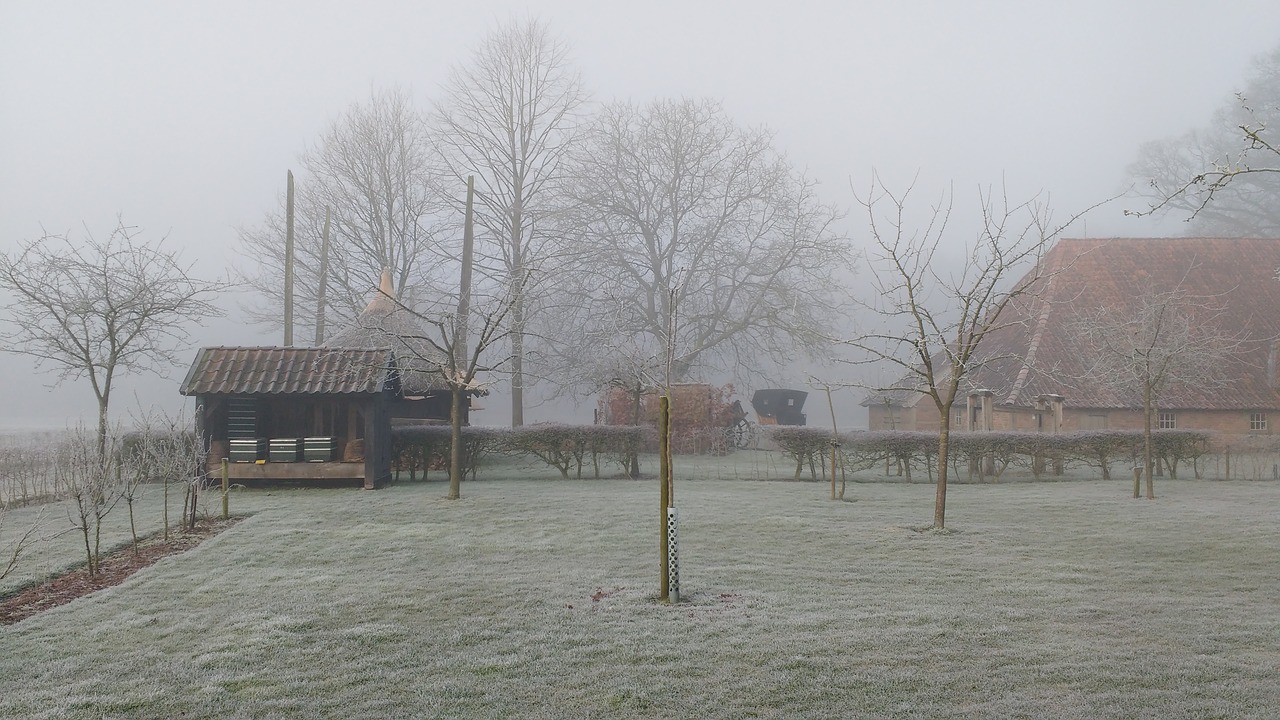 Image - winter landscape dutch landscape