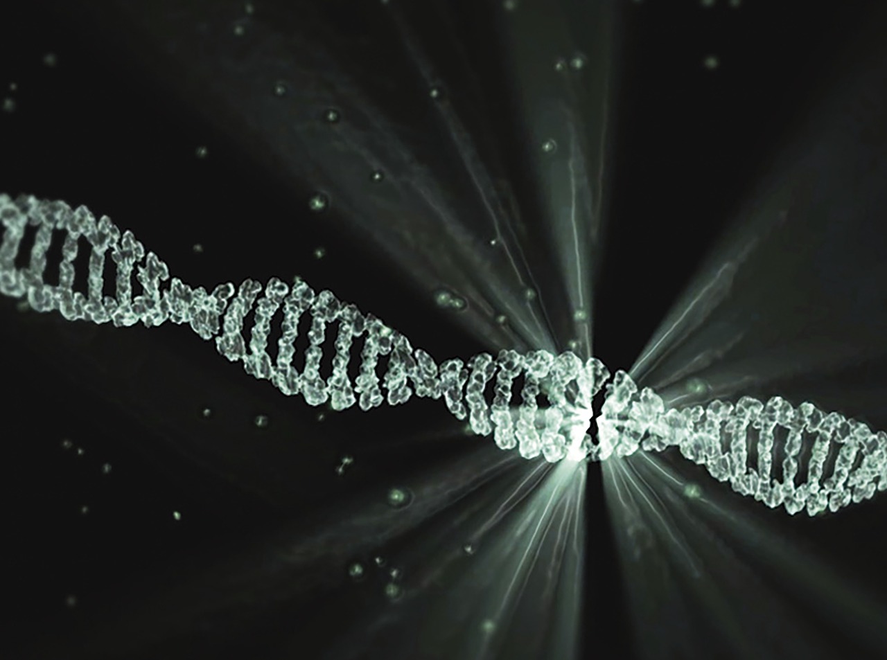 Image - dna project lumina walter waymann