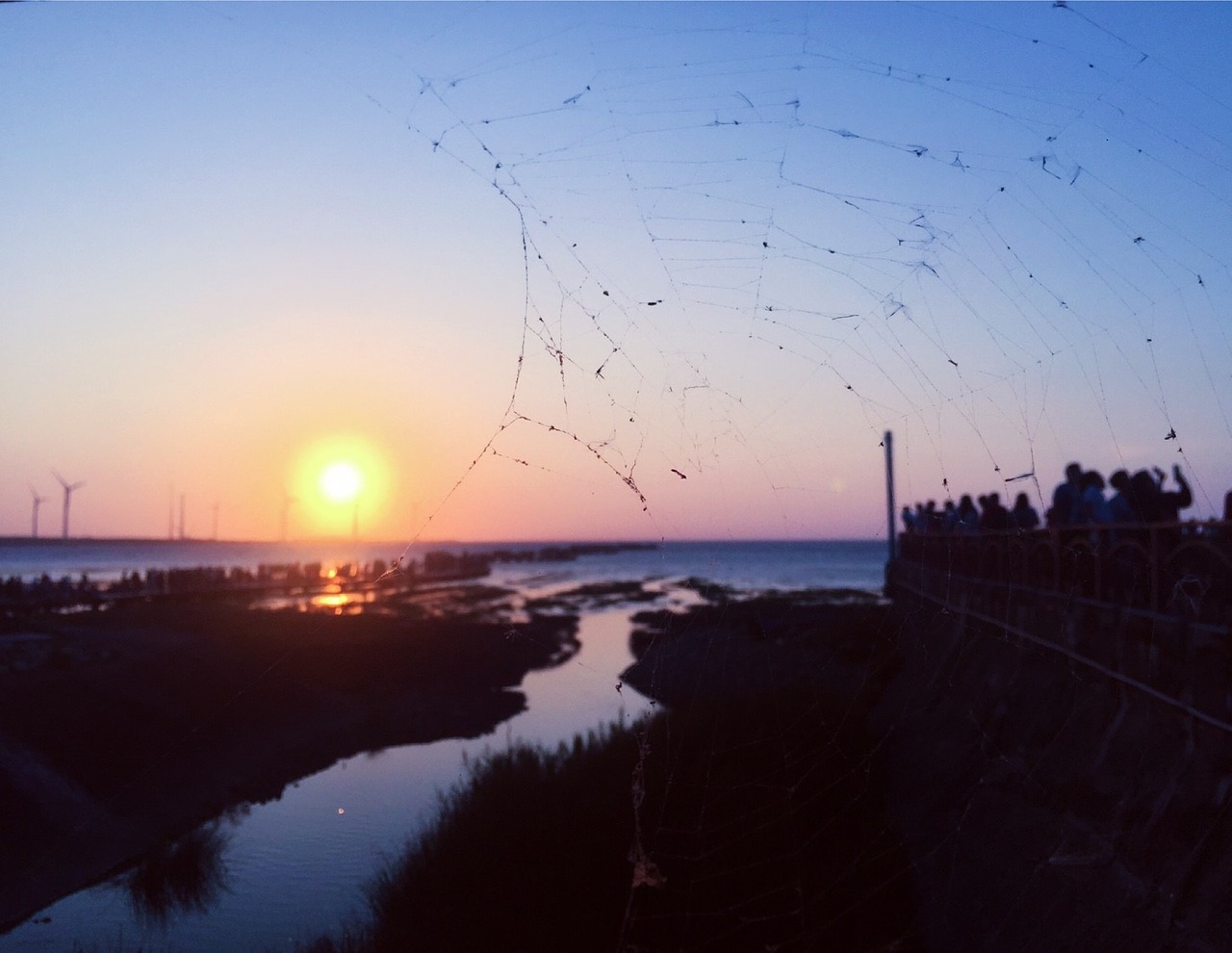 Image - spider web the evening sun harbor