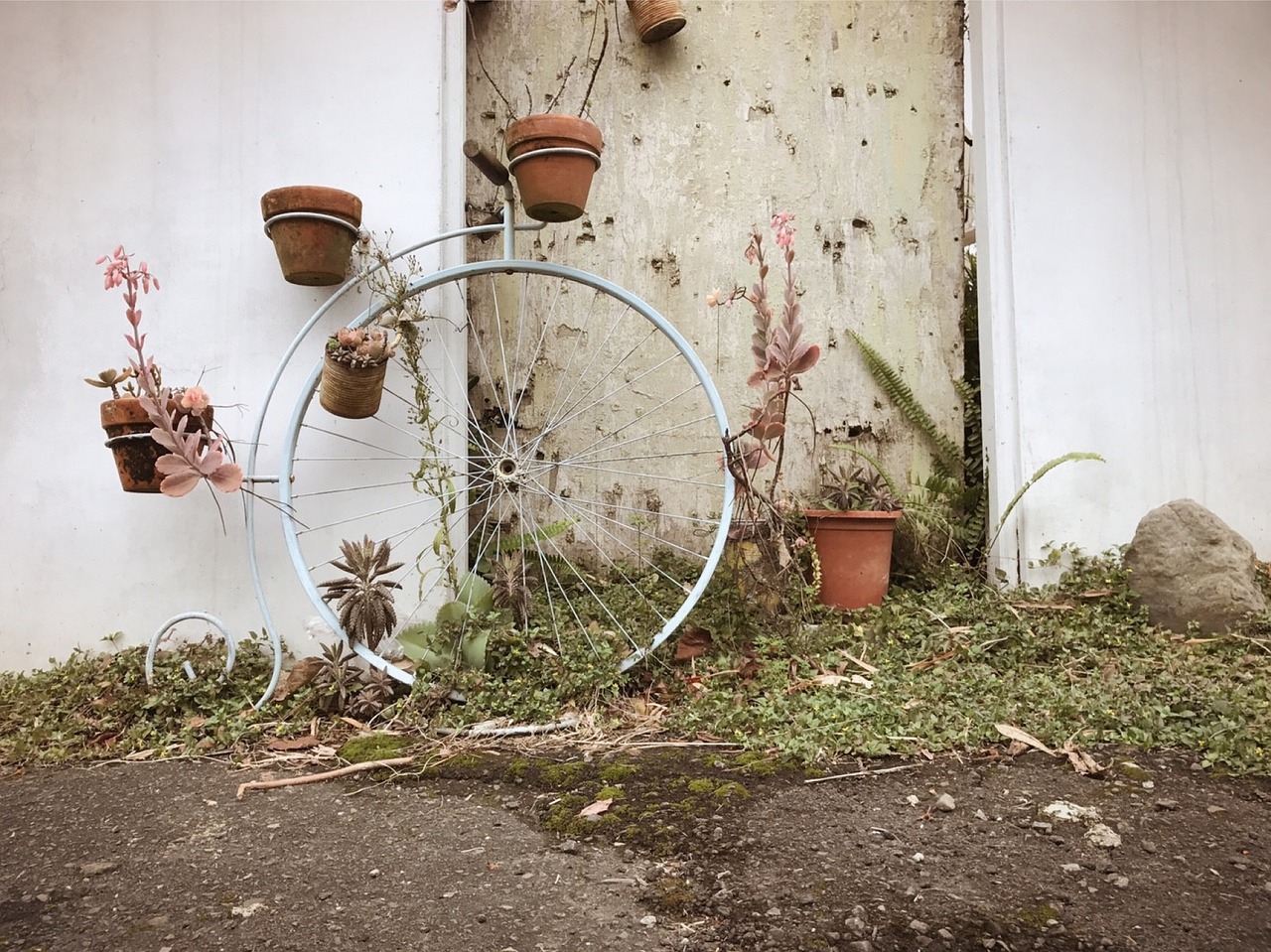 Image - potted plants round box corner