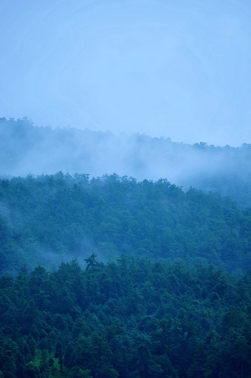 Image - hills fog color layer the peak