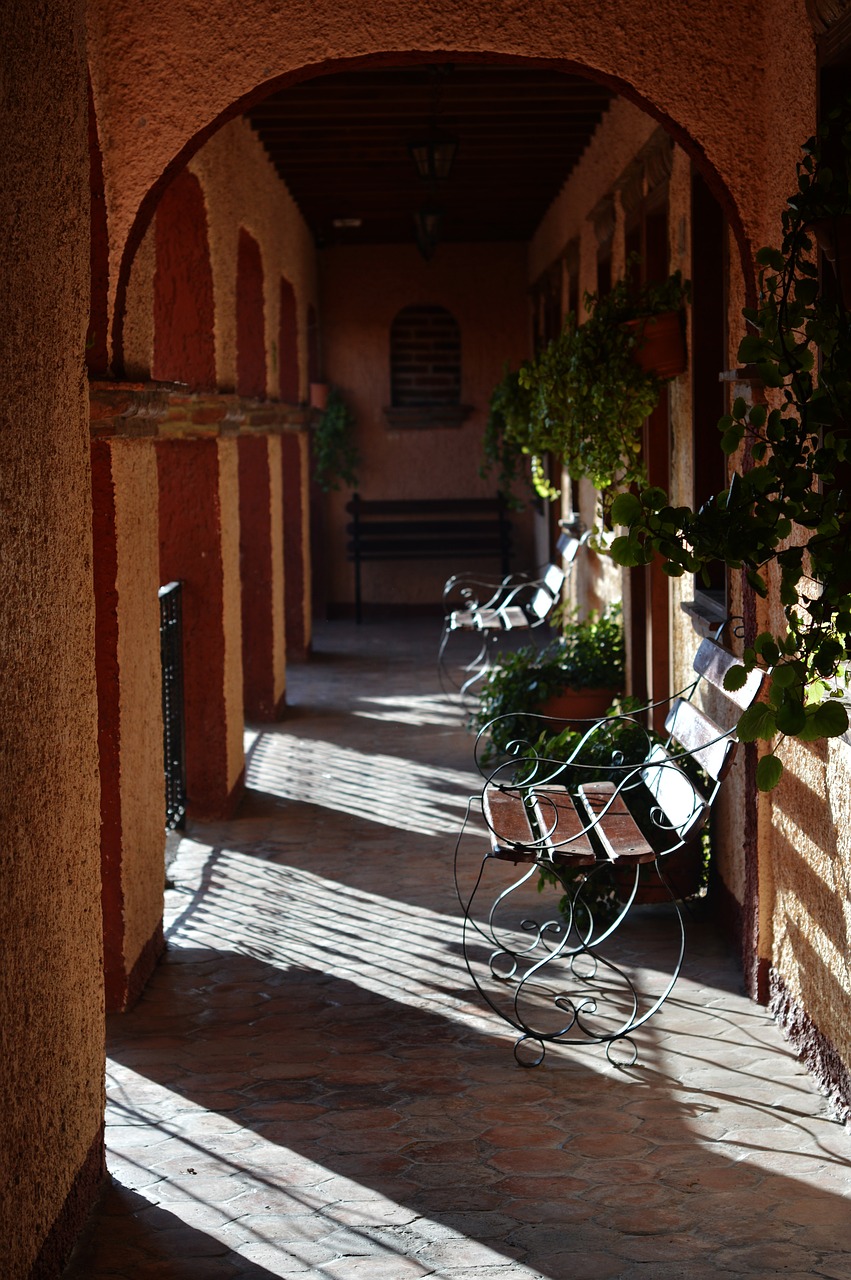 Image - hotel chair plants green arches