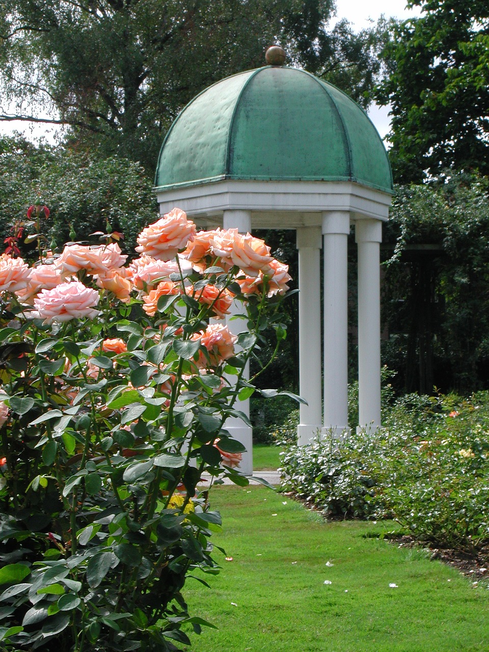 Image - rose dome garden