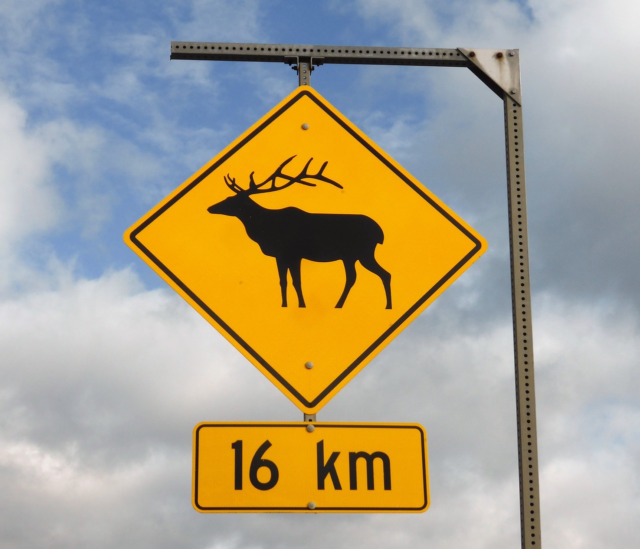 Image - road sign wild warning slower