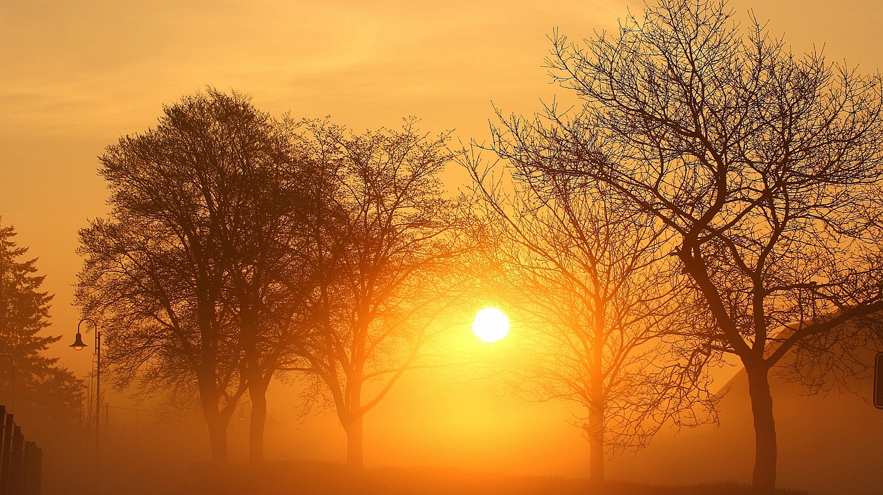 Image - eifel sunrise landscape nature