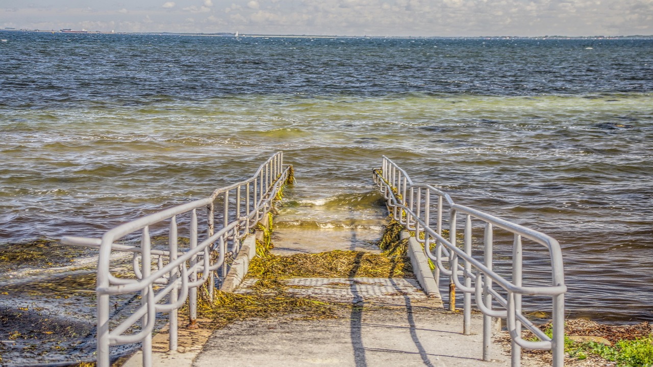 Image - bridge water nature summer lake