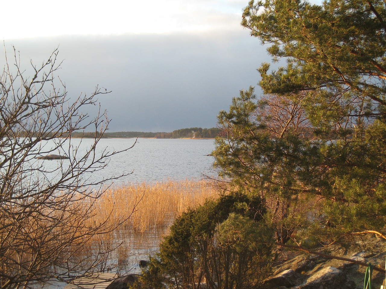 Image - winter rushes beach scenic