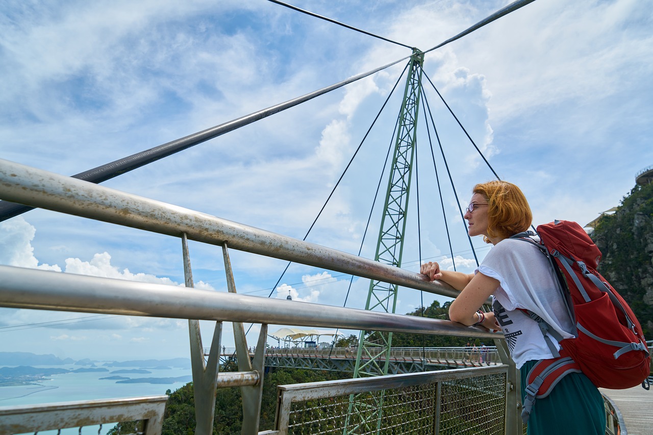 Image - bridge tourist bag modern travel