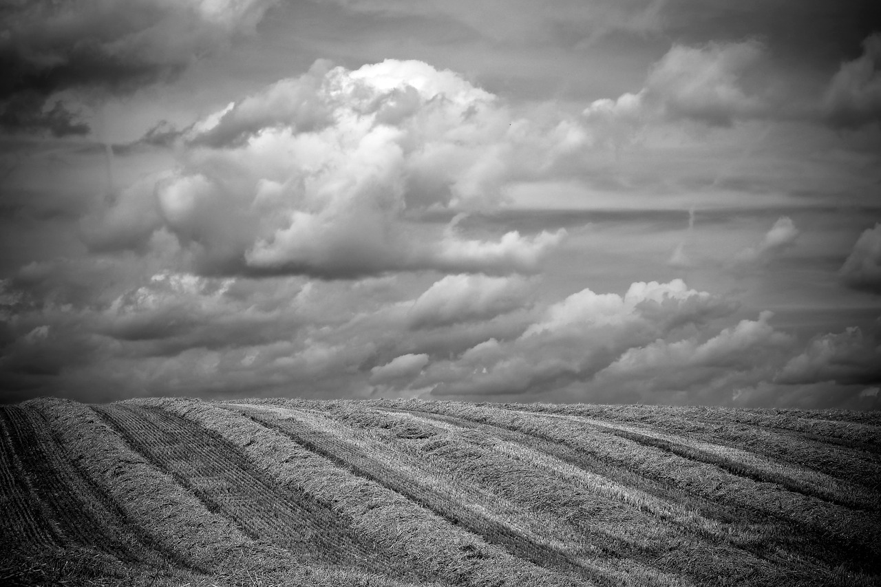 Image - landscape field summer fields