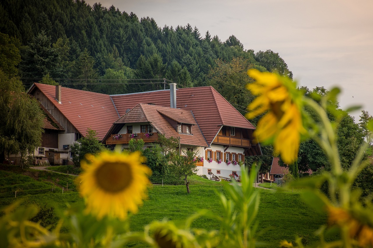 Image - farmhouse sun flower green yellow