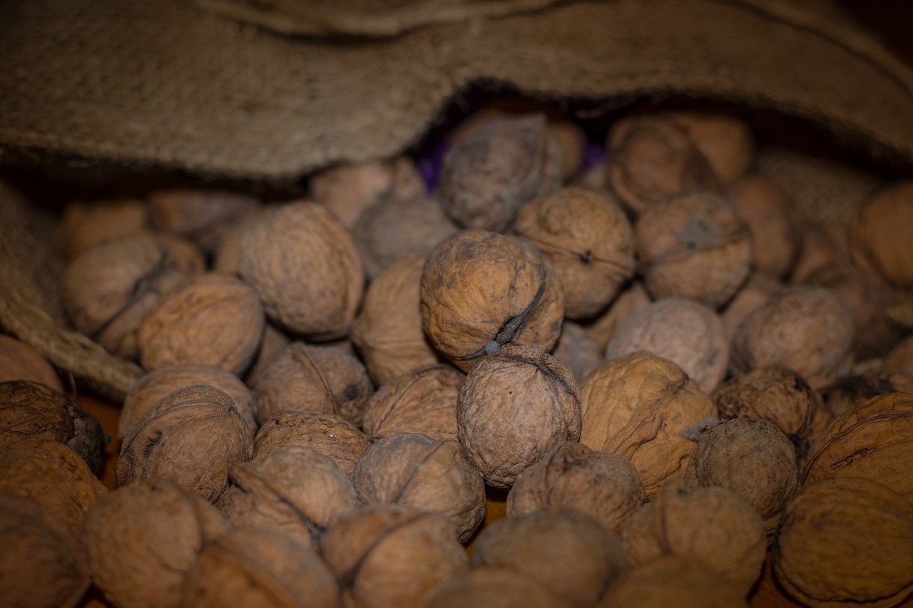 Image - nuts walnuts bag nut walnut eat