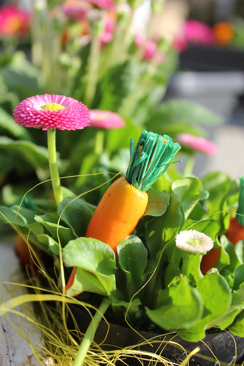 Image - easter carrot flower spring