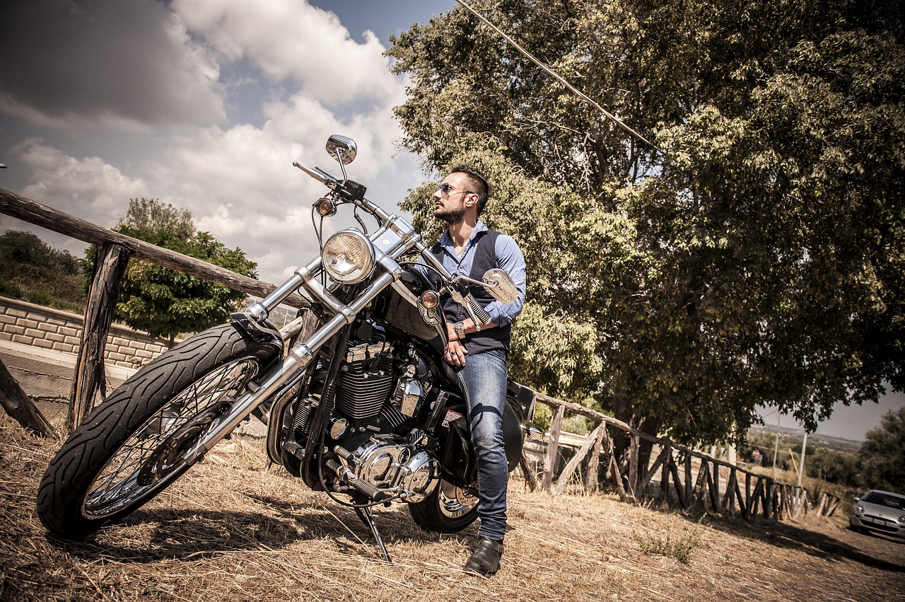 Image - biker harley harley davidson
