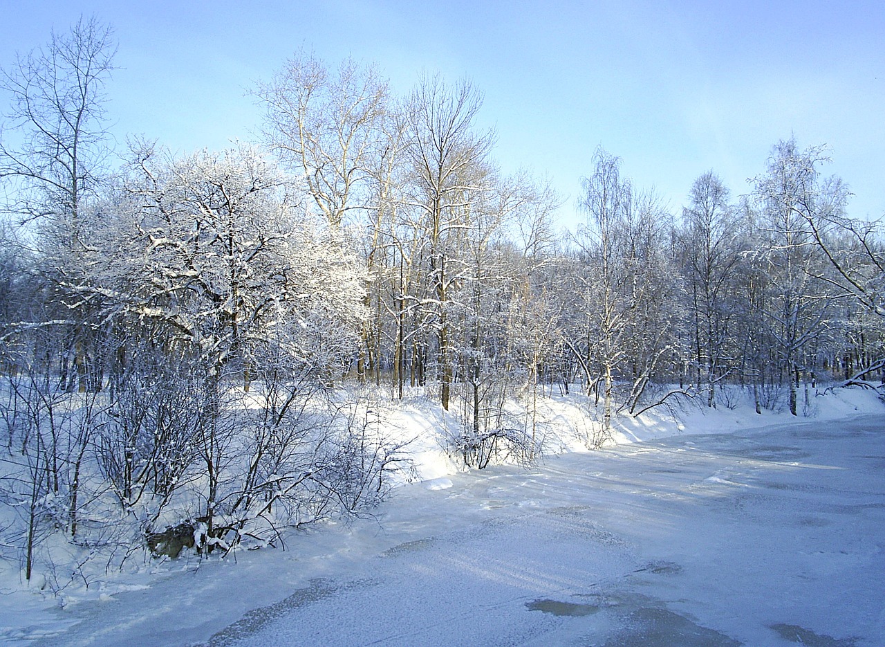 Image - karelia nature of karelia winter