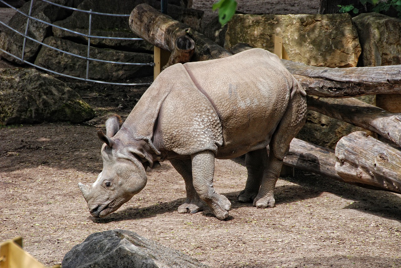 Image - zoo tiergarten schönbrunn