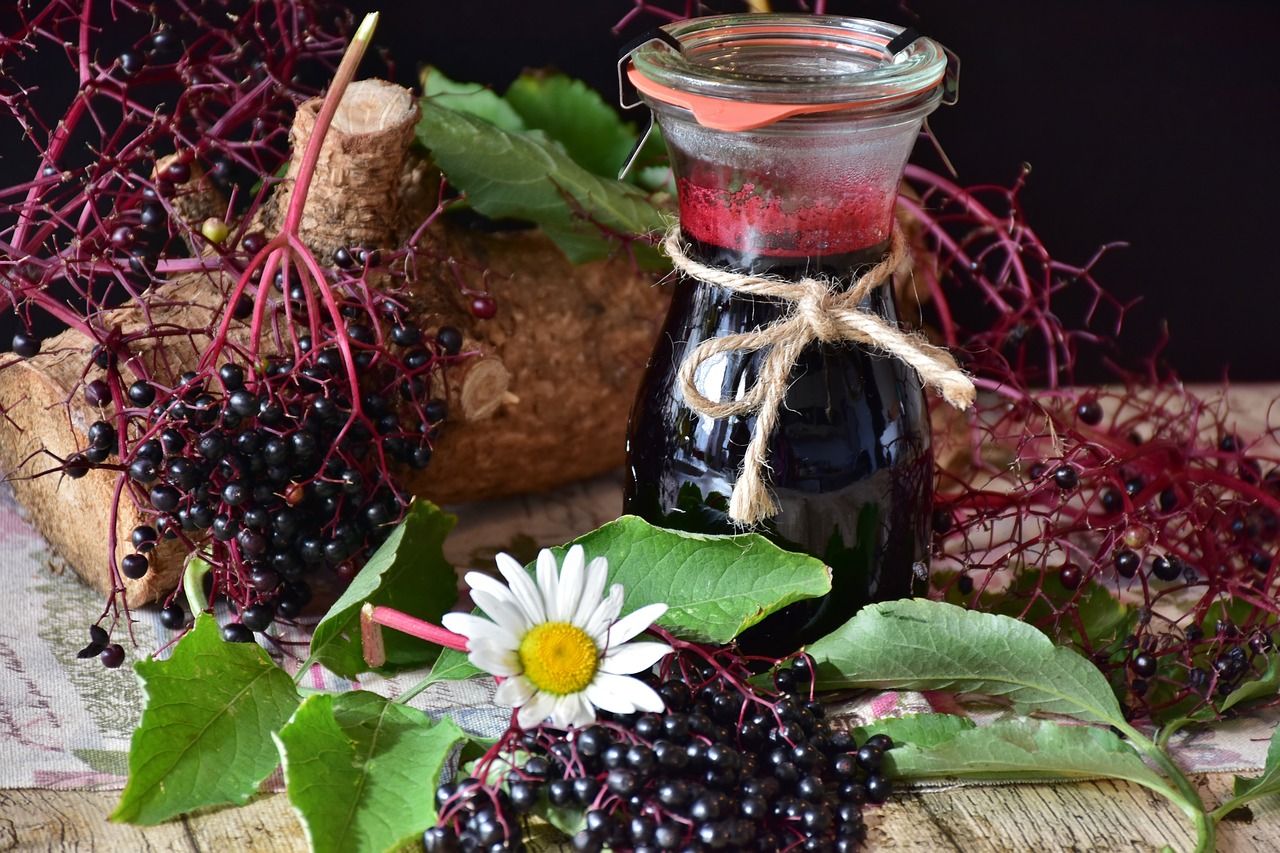 Image - elder elderberries berries juice