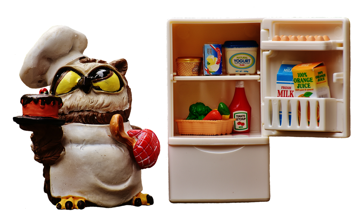 Image - owl bake cook refrigerator figure