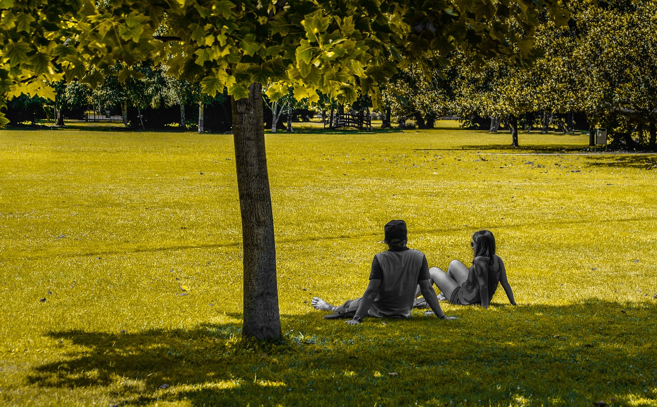 Image - people sitting park green tree