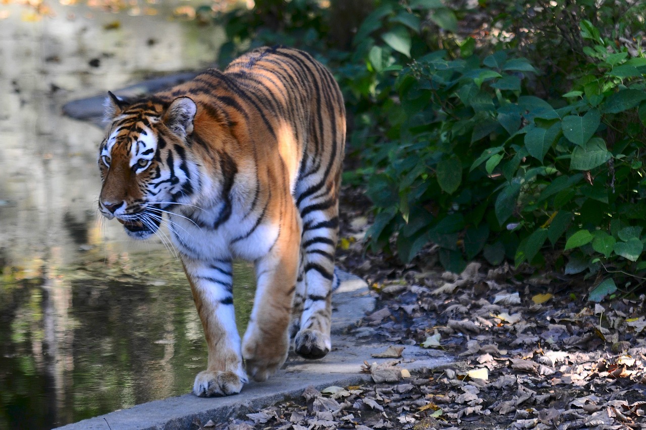 Image - zoo hellabrunn munich