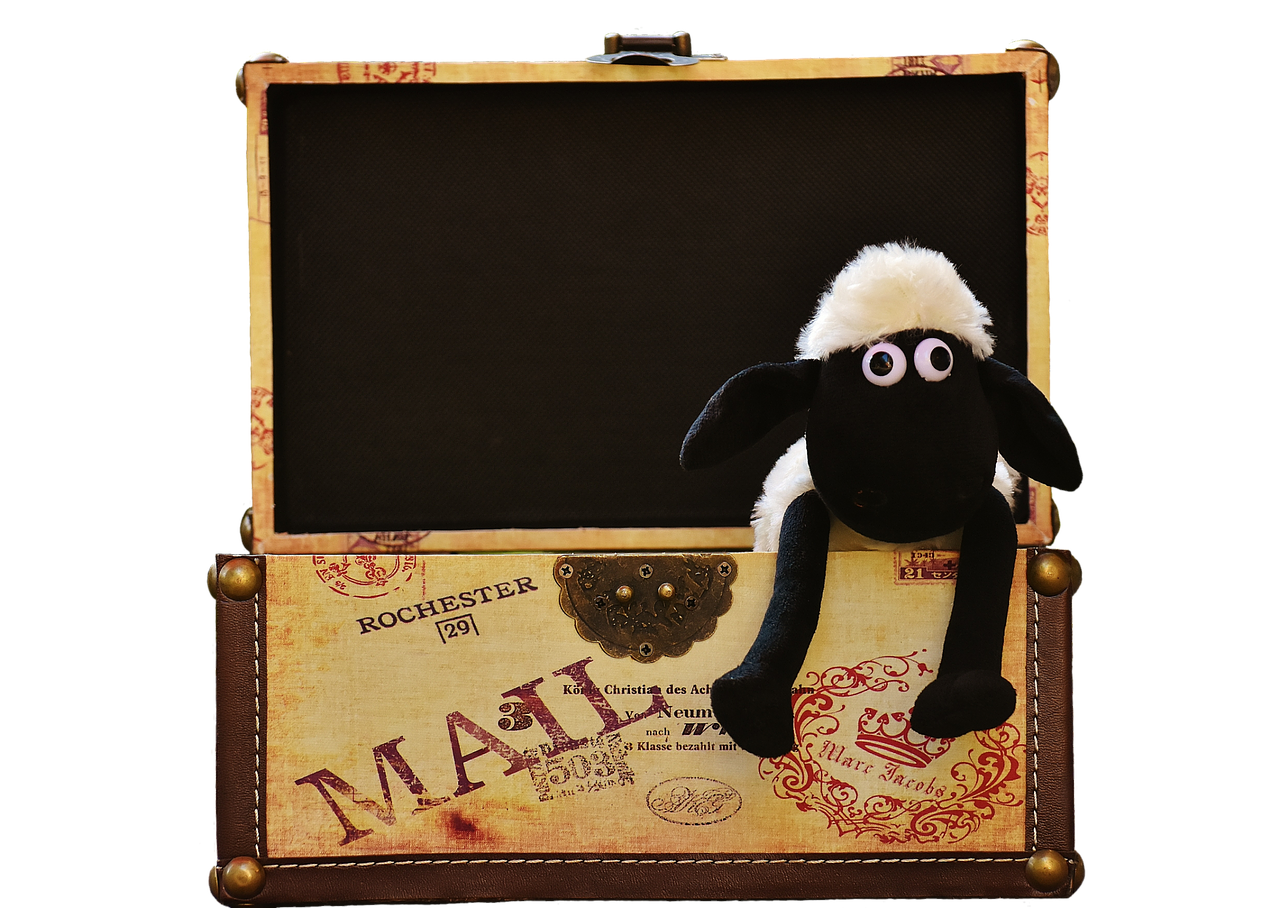 Image - sheep chest box funny animal