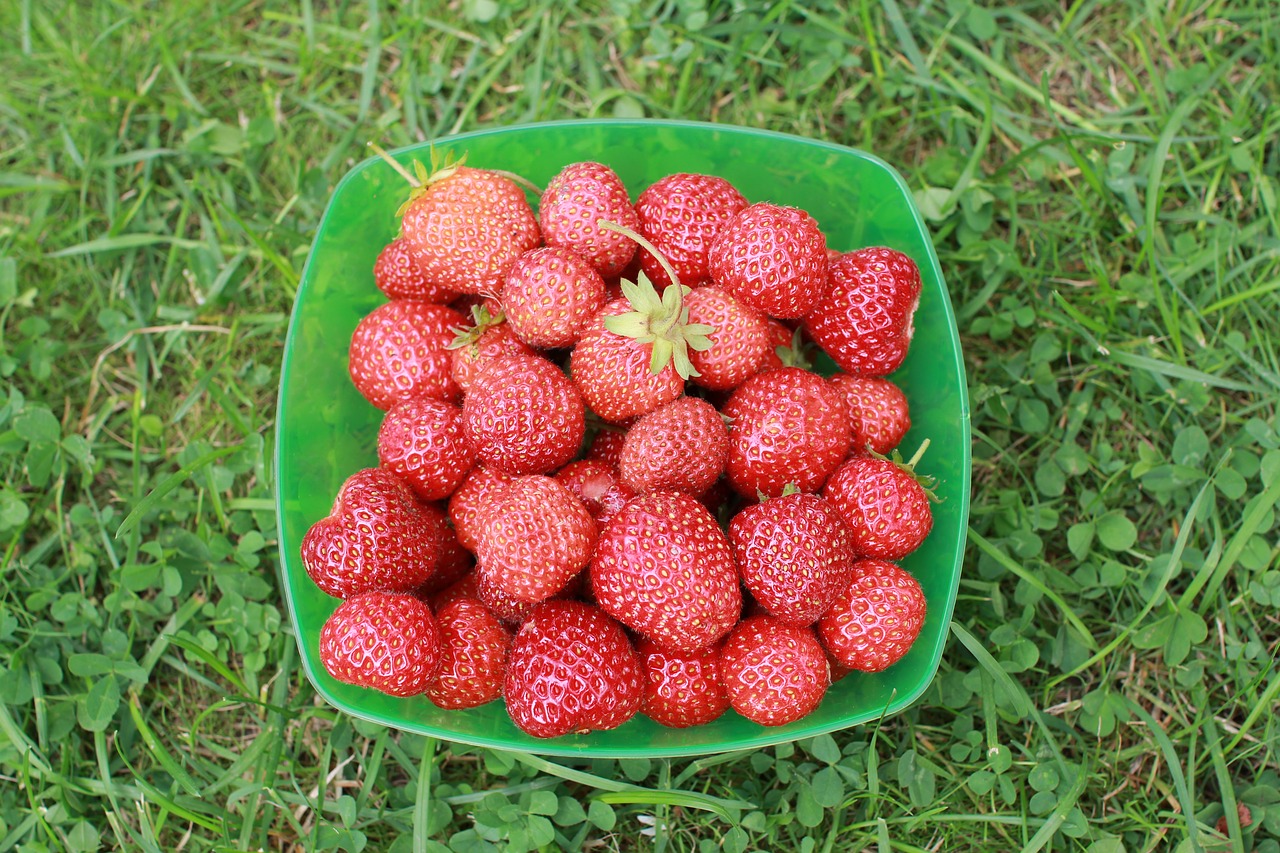 Image - strawberry dacha garden summer